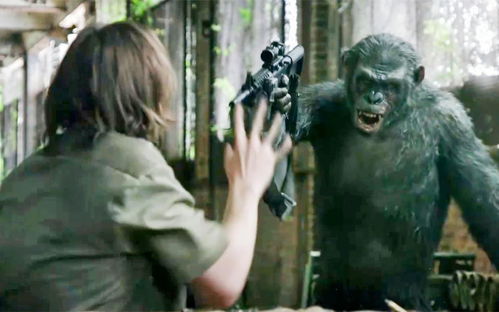 大猩猩学会了说话和用枪,人类却被传染猿流感,差点灭绝的科幻片