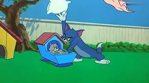 猫和老鼠 有尾巴总会露出来的,请看汤姆猫花样作死