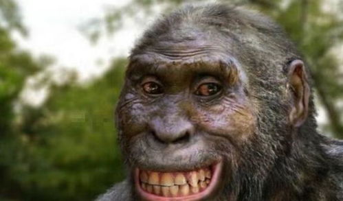 为什么说原始人是恐怖直立猿呢看完网友的分析,我瞬间顿悟了