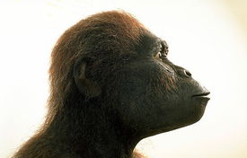 科学松鼠会 财新博客 新世纪的常识传播者 财新网