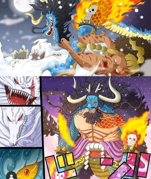 《海贼王》994话剧情前瞻 小菊伤势好转，路飞决战凯多之路的希望