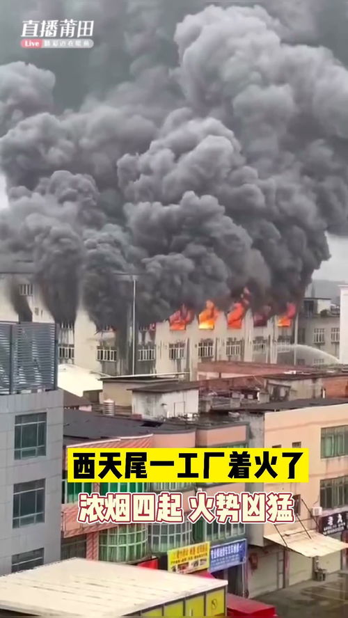突发 莆田西天尾一工厂发生火灾