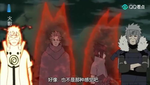 仙术之外的盲区 九尾嘲讽鸣人遗忘的战斗智慧