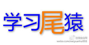 尾猿会网 微博上的创业交流新天地